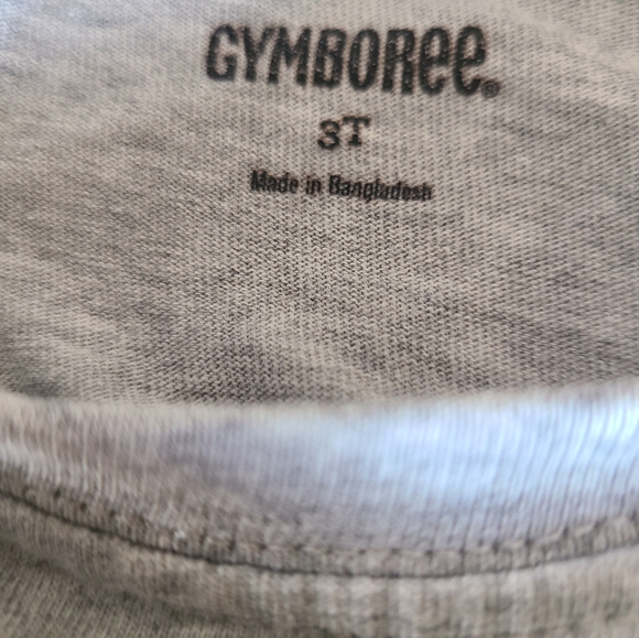 Grey dinosaur long sleeved tee shirt - Picture 3 of 3